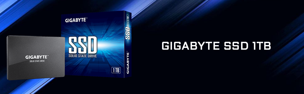 GIGABYTE-SSD-1TB-GP-GSTFS31