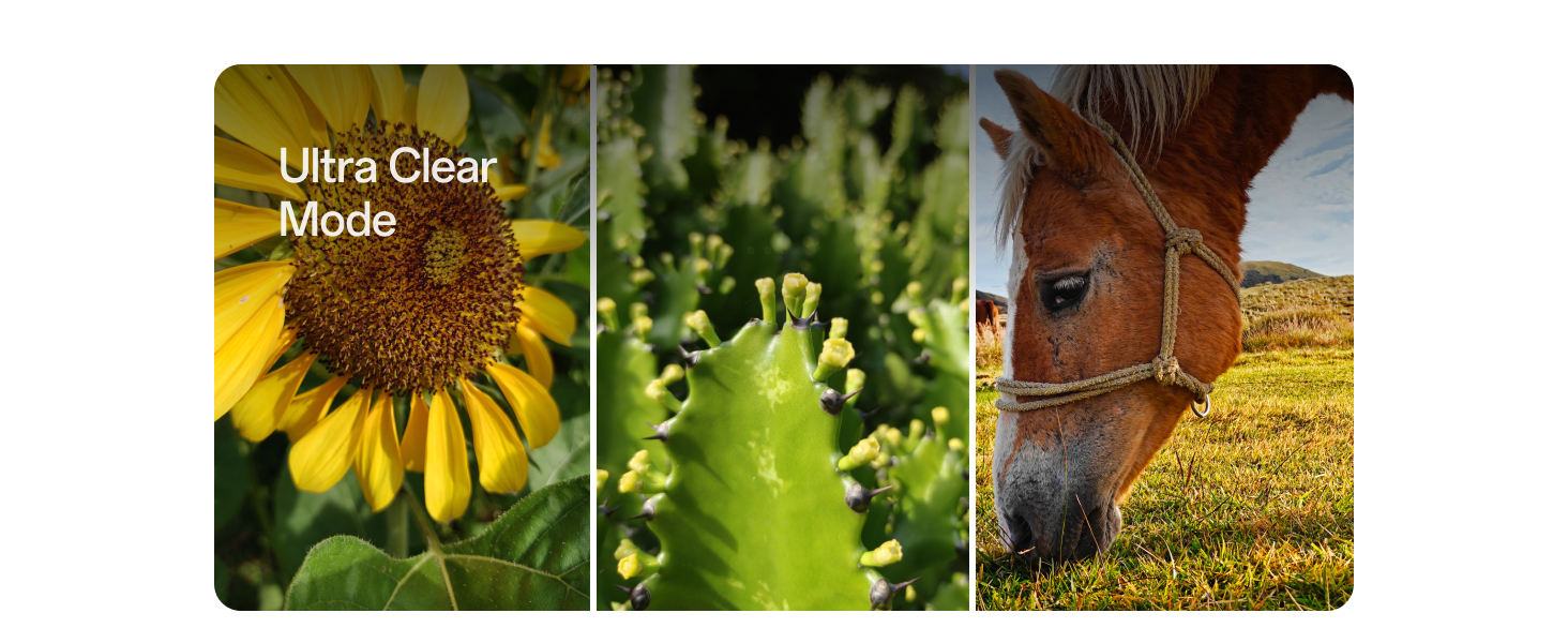 OnePlus-15R-12GB256GB-Charcoal-Black-Worlds-First-Snapdragon-8-Gen-5-7400mAh-Bat