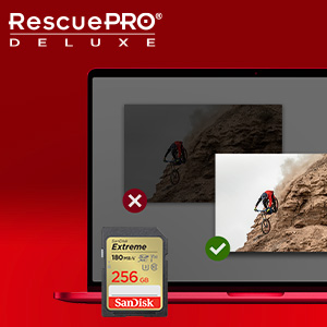 SanDisk-Extreme-SD-UHS-I-256GB-Card-for-4K-Video-for-DSLR-and-Mirrorless-Cameras