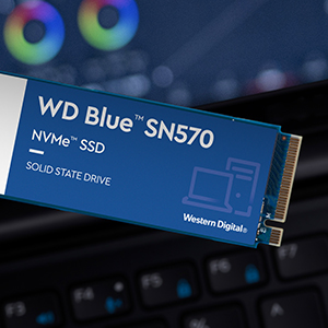 Western-Digital-WD-Blue-SN570-NVMe-250GB-Upto-3300MBs-with-Free-1-Month-Adobe-Cr